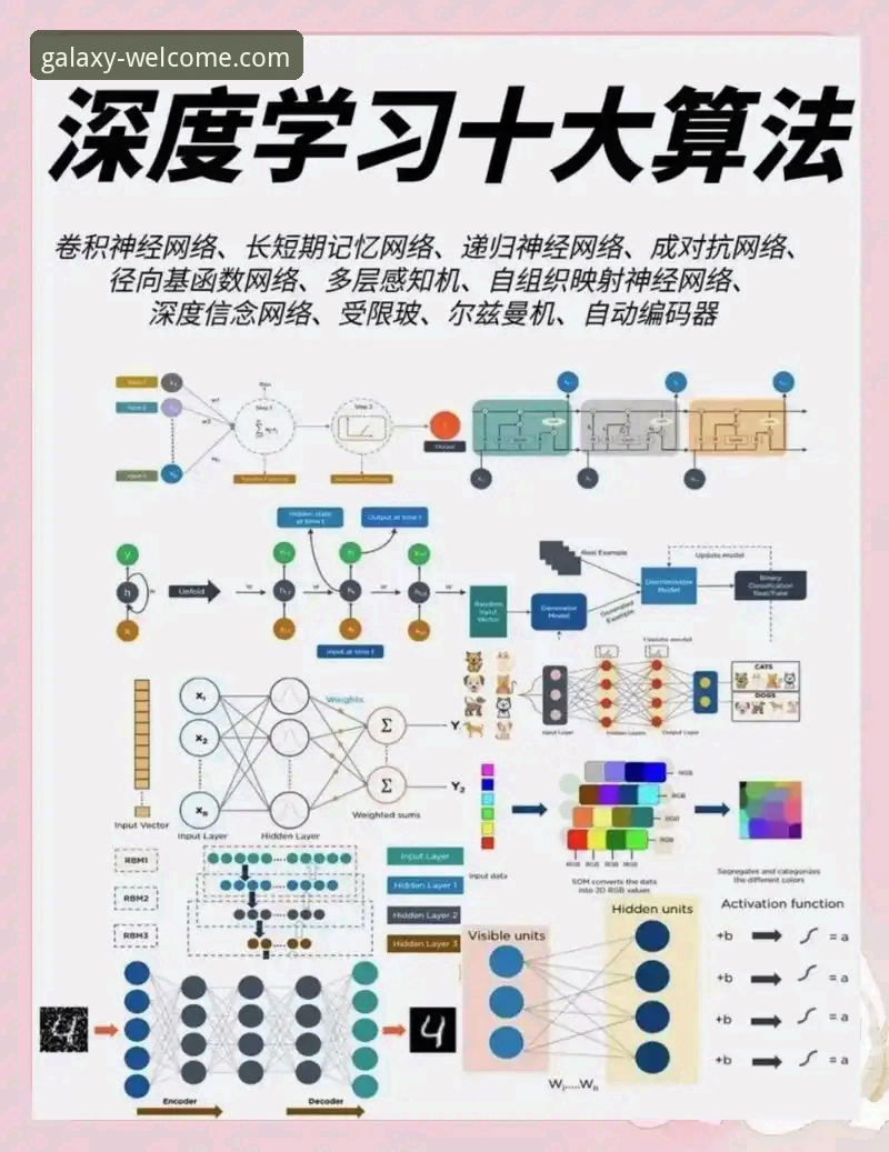 银河官方网址 银河官方平台深度分析:从新手到高手的全面操作指南
